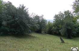 De vanzare teren 1646 mp, ideal constructie casa