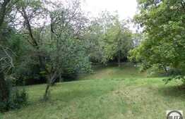 De vanzare teren 1646 mp, ideal constructie casa