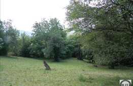 De vanzare teren 1646 mp, ideal constructie casa