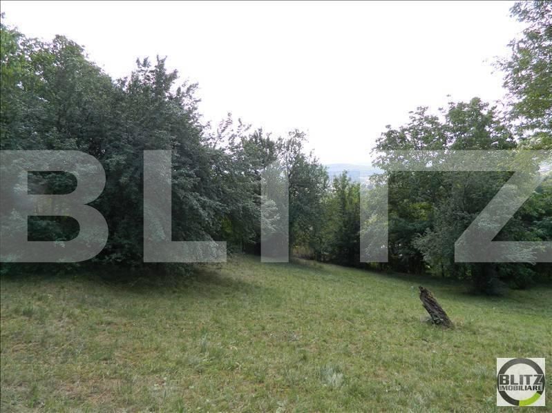 Teren de vânzare Grigorescu - 23131TV | BLITZ Cluj-Napoca | Poza6