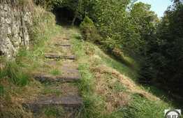 Teren in cartierul Grigorescu 10000 mp!