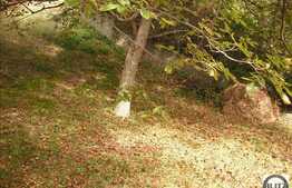 Teren in cartierul Grigorescu 10000 mp!