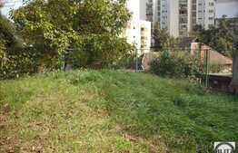 Teren in cartierul Grigorescu 10000 mp!