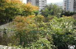 Teren in cartierul Grigorescu 10000 mp!