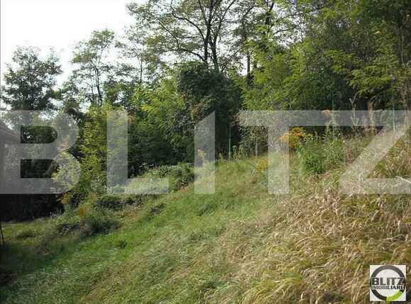 Teren de vânzare Grigorescu - 23132TV | BLITZ Cluj-Napoca | Poza2