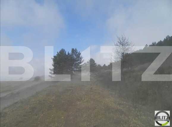 Teren de vânzare Grigorescu - 23133TV | BLITZ Cluj-Napoca | Poza5