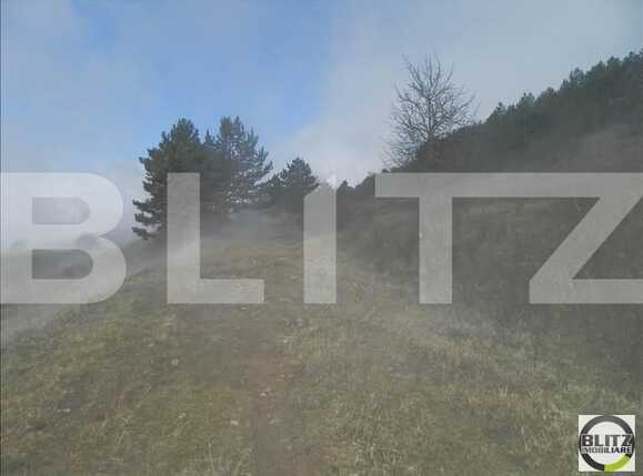 Teren de vânzare Grigorescu - 23133TV | BLITZ Cluj-Napoca | Poza3
