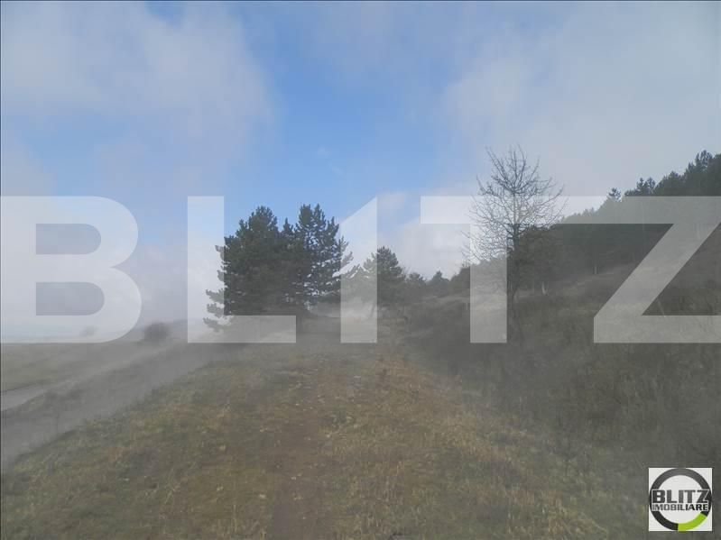 Teren de vânzare Grigorescu - 23133TV | BLITZ Cluj-Napoca | Poza5