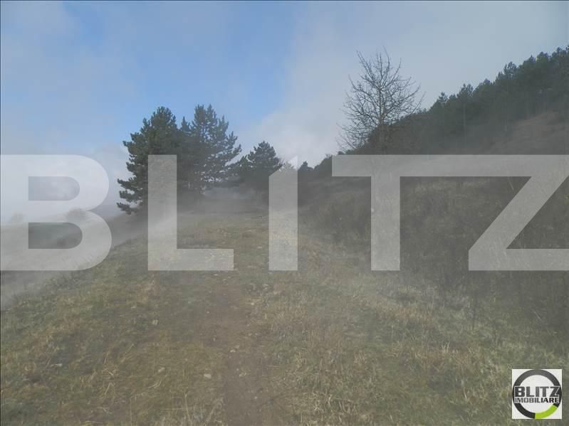 Teren de vânzare Grigorescu - 23133TV | BLITZ Cluj-Napoca | Poza3