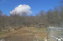 Teren de vanzare 3650 mp, front 25 ml, utilitati in zona, zona linistita de case