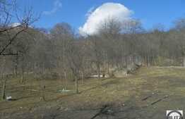 Teren de vanzare 3650 mp, front 25 ml, utilitati in zona, zona linistita de case