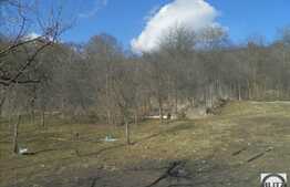 Teren de vanzare 3650 mp, front 25 ml, utilitati in zona, zona linistita de case