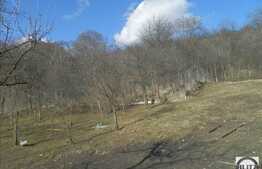 Teren de vanzare 3650 mp, front 25 ml, utilitati in zona, zona linistita de case