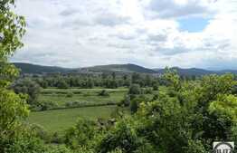 Teren de vanzare 2500 mp, front 26 ml, zona LIU!