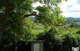 Teren de vanzare 2500 mp, front 26 ml, zona LIU!