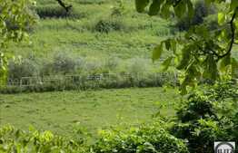 Teren de vanzare 2500 mp, front 26 ml, zona LIU!