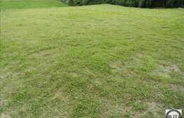 Teren de vanzare 5064 mp, front stradal 30 ml, zona linistita de case/vile!