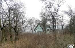 Vanzare teren, 6500 mp, front 28 ml, zona Uliului, toate utilitatile la front