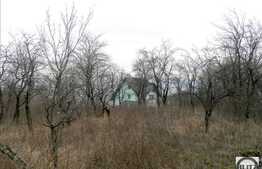 Vanzare teren, 6500 mp, front 28 ml, zona Uliului, toate utilitatile la front