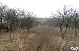 Vanzare teren, 6500 mp, front 28 ml, zona Uliului, toate utilitatile la front