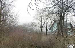 Vanzare teren, 6500 mp, front 28 ml, zona Uliului, toate utilitatile la front