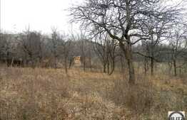 Vanzare teren, 6500 mp, front 28 ml, zona Uliului, toate utilitatile la front