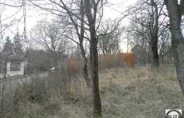 Vanzare teren, 6500 mp, front 28 ml, zona Uliului, toate utilitatile la front