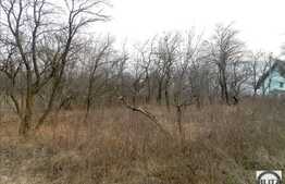 Vanzare teren, 6500 mp, front 28 ml, zona Uliului, toate utilitatile la front