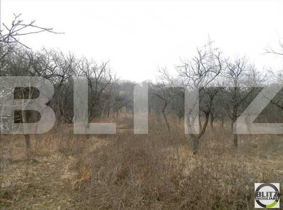 Teren de vânzare Grigorescu - 23141TV | BLITZ Cluj-Napoca | Poza8