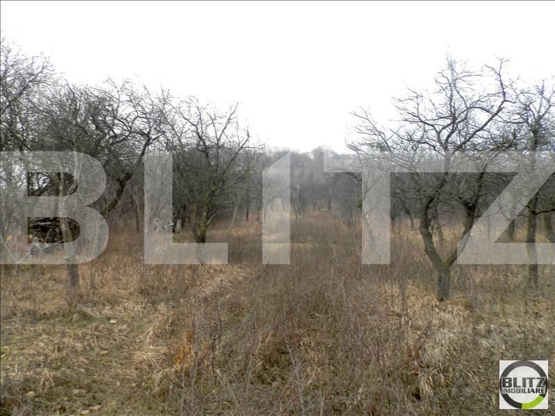 Teren de vânzare Grigorescu - 23141TV | BLITZ Cluj-Napoca | Poza9