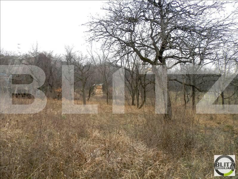 Teren de vânzare Grigorescu - 23141TV | BLITZ Cluj-Napoca | Poza11