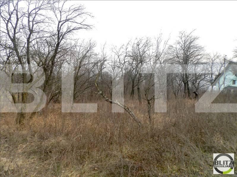 Teren de vânzare Grigorescu - 23141TV | BLITZ Cluj-Napoca | Poza10