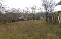 Teren 2500 mp + casa renovabila de 180 mp, 2 fronturi stradale, zona linistita!