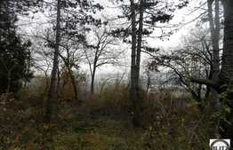 Teren de vanzare, 2700 mp, cu front de 18,40 mp, zona strazii Donath!