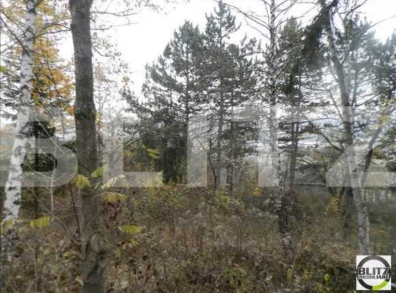 Teren de vânzare Grigorescu - 23144TV | BLITZ Cluj-Napoca | Poza11