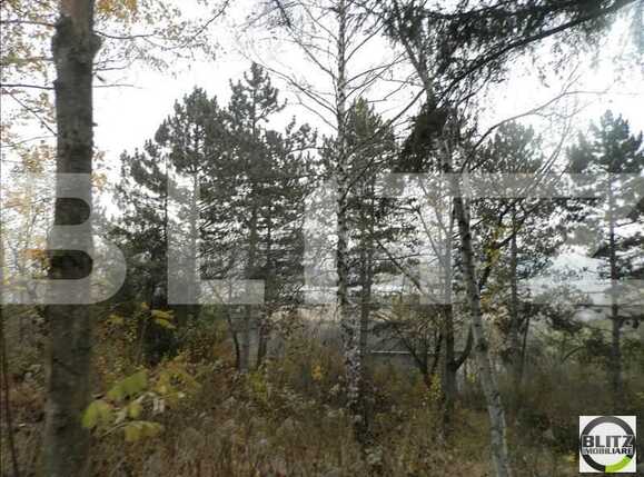 Teren de vânzare Grigorescu - 23144TV | BLITZ Cluj-Napoca | Poza3