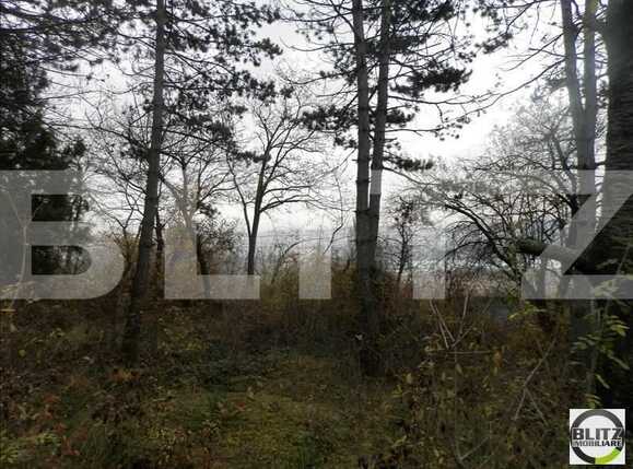 Teren de vânzare Grigorescu - 23144TV | BLITZ Cluj-Napoca | Poza1