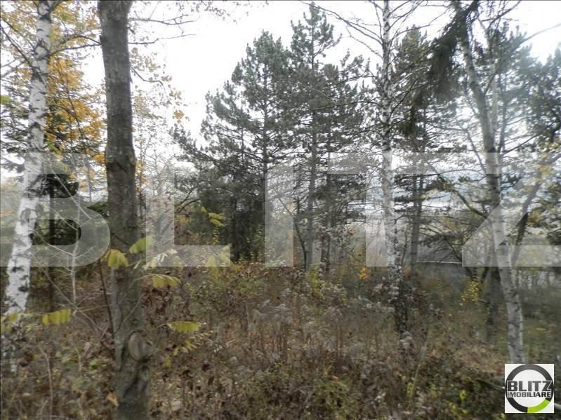 Teren de vânzare Grigorescu - 23144TV | BLITZ Cluj-Napoca | Poza11