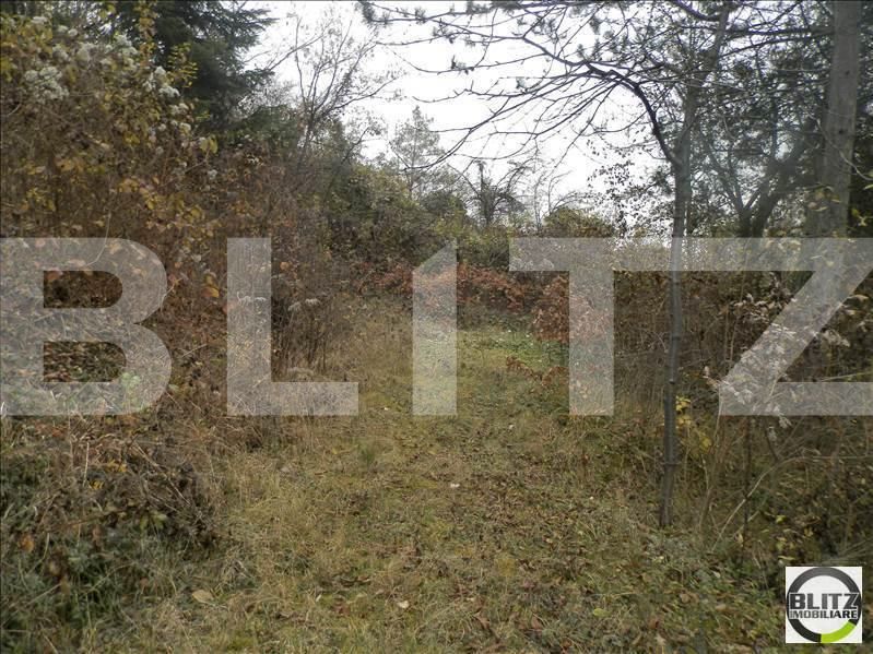 Teren de vânzare Grigorescu - 23144TV | BLITZ Cluj-Napoca | Poza2