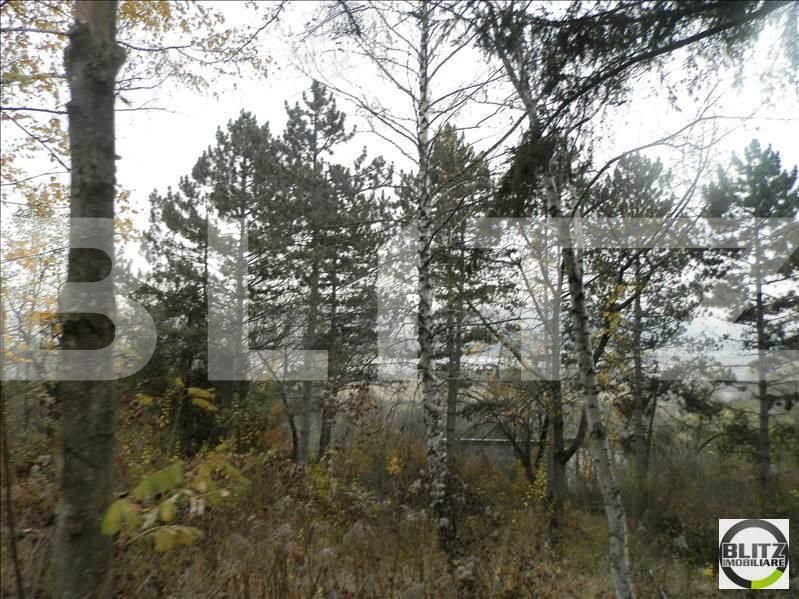 Teren de vânzare Grigorescu - 23144TV | BLITZ Cluj-Napoca | Poza3