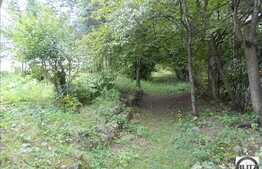 Teren de vanzare, 1000 mp, zona Gruia, panorama unica