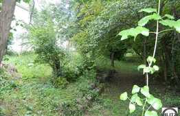 Teren de vanzare, 1000 mp, zona Gruia, panorama unica