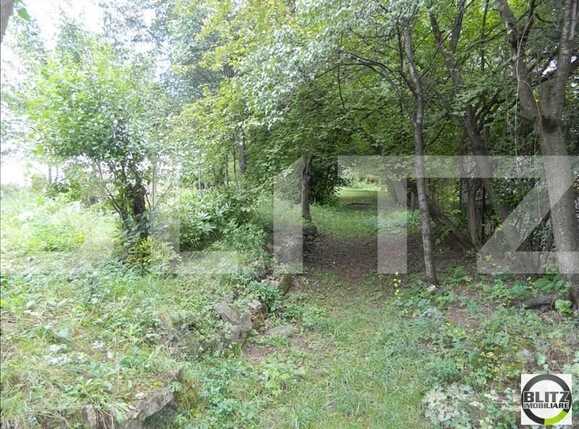 Teren de vânzare Gruia - 23147TV | BLITZ Cluj-Napoca | Poza1