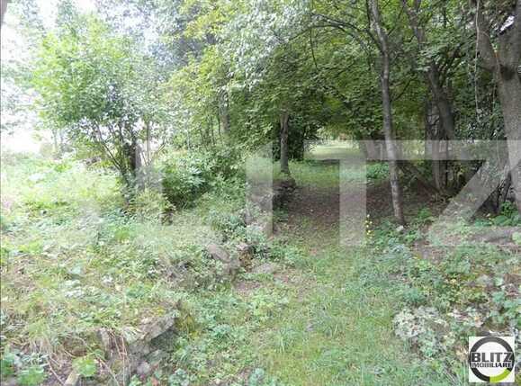 Teren de vânzare Gruia - 23147TV | BLITZ Cluj-Napoca | Poza3