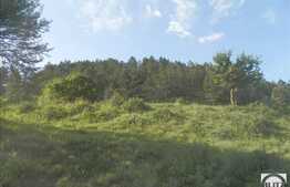 De vanzare teren, 10000 mp, front stradal 150 ml, zona linistita!