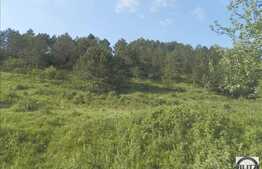 De vanzare teren, 10000 mp, front stradal 150 ml, zona linistita!