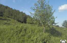 De vanzare teren, 10000 mp, front stradal 150 ml, zona linistita!