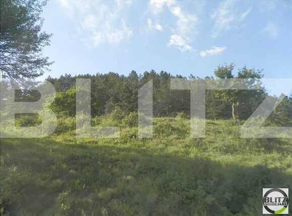 Teren de vânzare Grigorescu - 23151TV | BLITZ Cluj-Napoca | Poza3