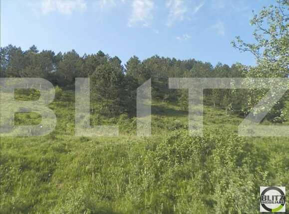 Teren de vânzare Grigorescu - 23151TV | BLITZ Cluj-Napoca | Poza4