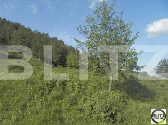 Teren de vânzare Grigorescu - 23151TV | BLITZ Cluj-Napoca | Poza5